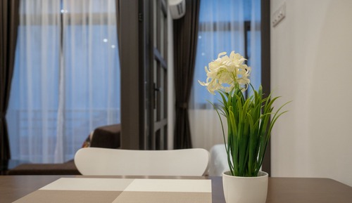 Business Apartment, 1 Bedroom