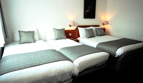 Room, Multiple Beds, Non Smoking