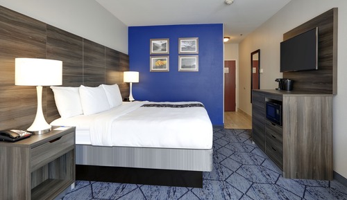 Room, 1 King Bed, Accessible, Non Smoking (Bathtub w/Grab Bars)