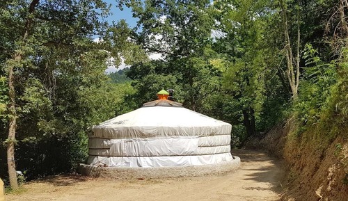 Yurt