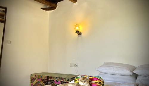 Design Double or Twin Room