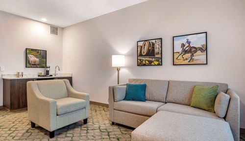 Suite, 1 King Bed with Sofa bed, Non Smoking