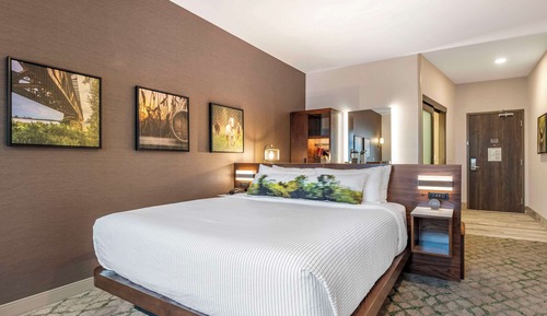 Standard Room, 1 King Bed, Non Smoking