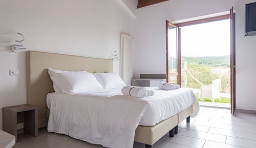 Deluxe Double or Twin Room