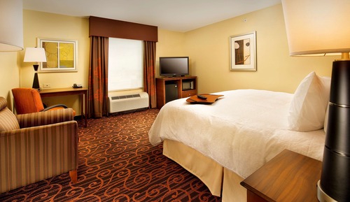 Room, 1 King Bed, Non Smoking