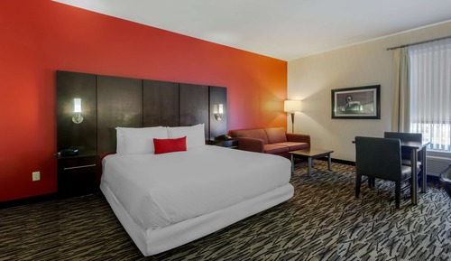 Suite, 1 King Bed, Non Smoking, Kitchenette (with Sofabed)