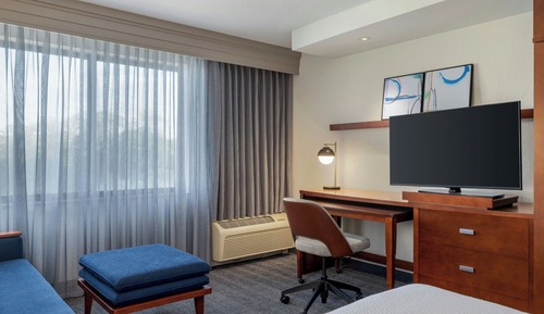 Room, 1 King Bed with Sofa bed, Non Smoking (Mobility/Hearing Accessible, Tub)
