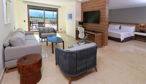 Suite, 1 King Bed with Sofa bed