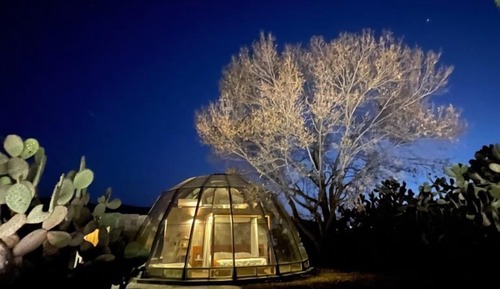 Panoramic Room, 1 King Bed, Mountain View