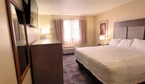 Room, 1 King Bed (Stardust)