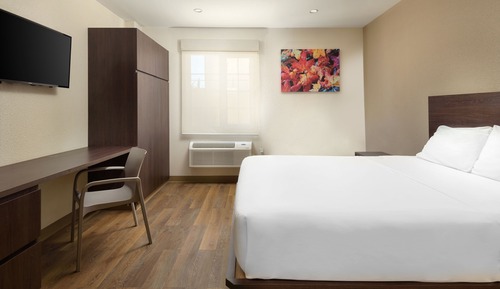 Suite, 1 Queen Bed