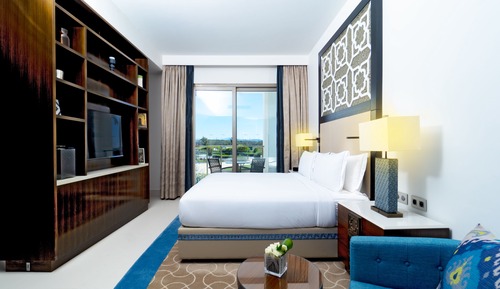 Room, 1 King Bed