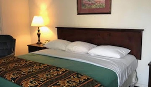 Premium Single Room, 1 King Bed