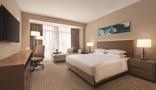 Room, 1 King Bed (Den, No Sofa Bed)