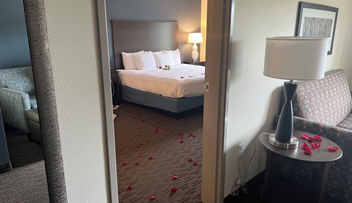 Suite, 1 King Bed with Sofa bed, Non Smoking