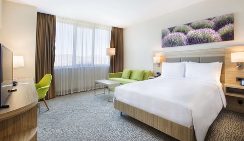Family Room, 1 Queen Bed