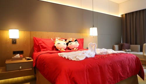 Standard Room, Business Lounge Access (High Floor)