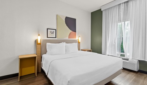 Room, 1 King Bed