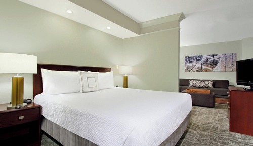 Studio Suite, 1 King Bed with Sofa bed (Mobility/Hearing Access, Roll-In Shwr)
