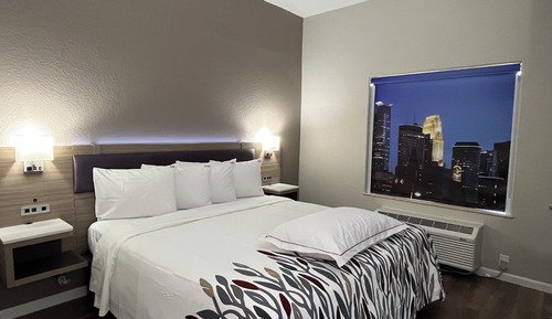 Premium Room, 1 King Bed, Accessible (Bed&Snack, Smoke Free, Roll-In Shower)