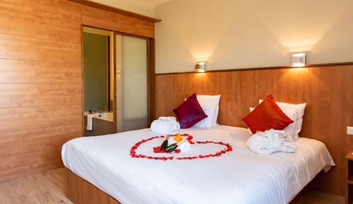 Superior Room, 1 King Bed, Non Smoking