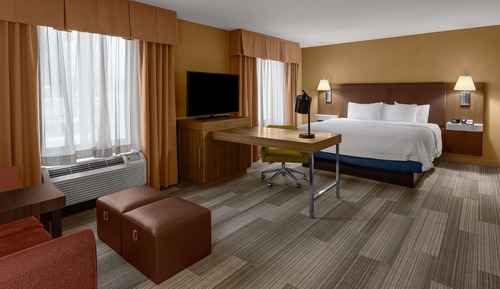 Studio Suite, 1 King Bed with Sofa bed, Smoking