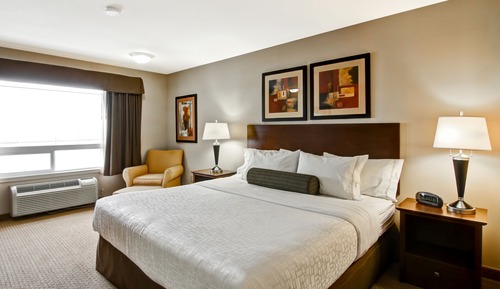 Room, 1 King Bed