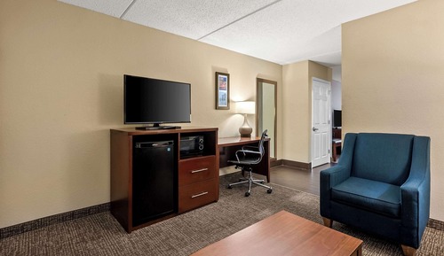 Suite, 1 King Bed with Sofa bed, Non Smoking