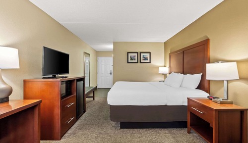 Room, 1 King Bed, Non Smoking