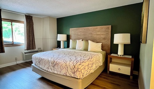 Room, 1 King Bed