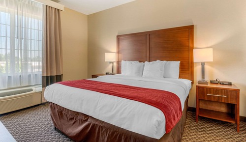 Suite, 1 King Bed with Sofa bed, Accessible, Non Smoking