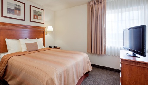 Suite, 1 Bedroom