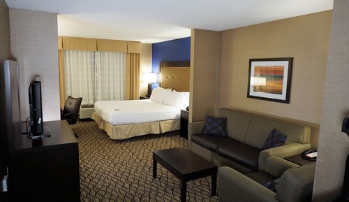Suite, 1 King Bed with Sofa bed