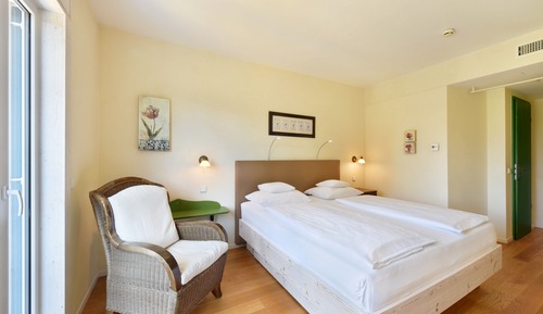 Comfort Room, 1 King Bed, Garden View