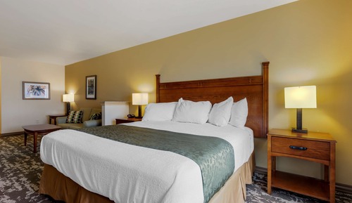 Standard Room, 1 King Bed, Non Smoking, Refrigerator & Microwave (Oversized Room)