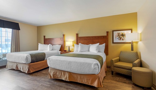 Standard Room, 2 Queen Beds, Non Smoking, Microwave (Pet Friendly)