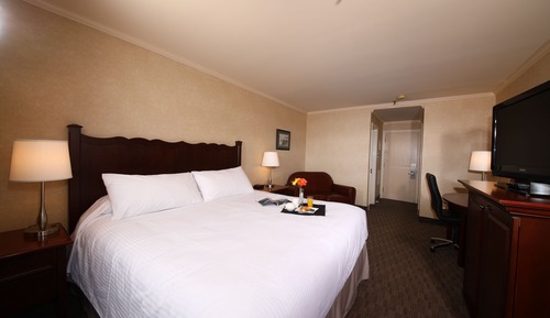 Executive Room, 1 King Bed