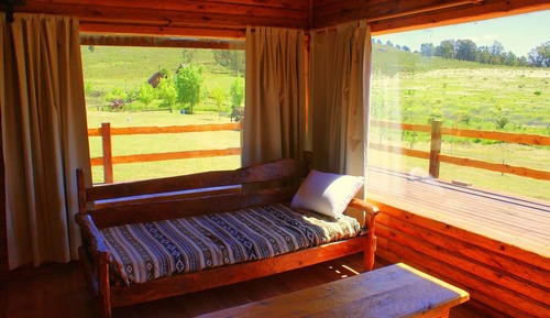 Standard Cabin (4 People)