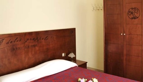Standard Double or Twin Room, Accessible