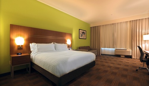 Room, 1 King Bed, Accessible, Non Smoking (Hearing, Roll-In Shower)