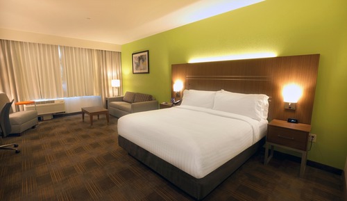Room, 1 King Bed with Sofa bed, Accessible, Non Smoking (Hearing, Transfer Shower)