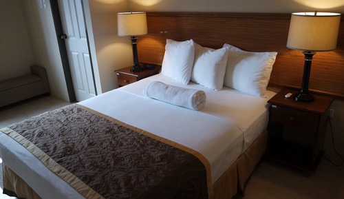 Executive Apartment, 1 Queen Bed, Kitchen, Executive Level