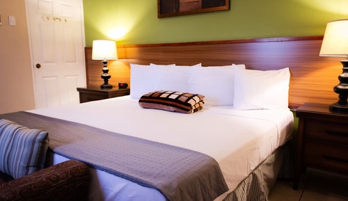 Business Double Room, 1 King Bed, Pool View