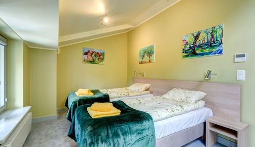 Double or Twin Room, Accessible