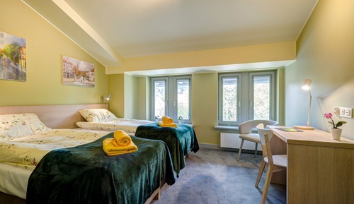 Double or Twin Room, City View