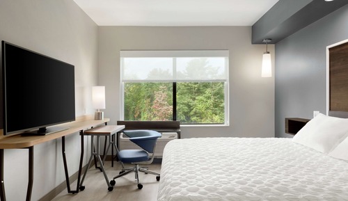 Room, 1 King Bed
