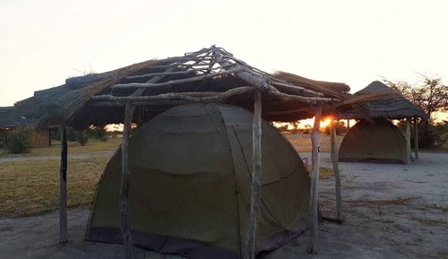 Basic Tent
