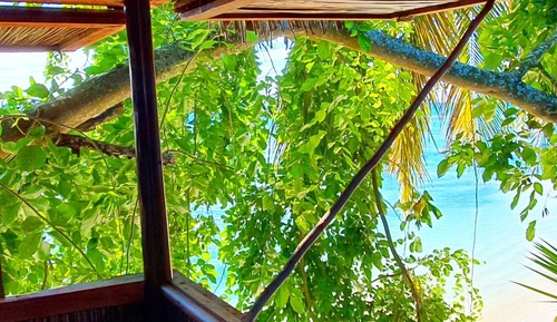 Panoramic Tree House