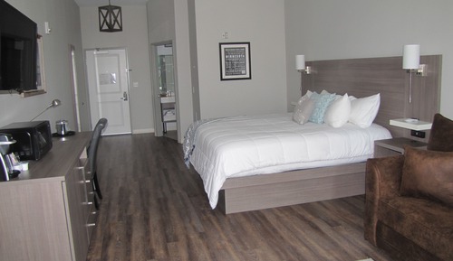 Standard Suite, 1 King Bed with Sofa bed, Non Smoking