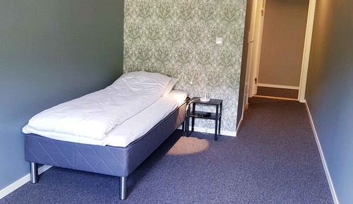 Room, 1 Twin Bed